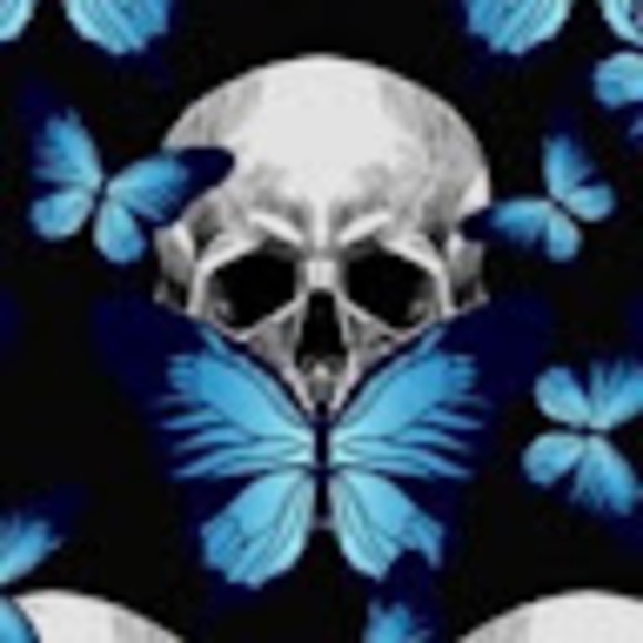 skullnbutterfly
